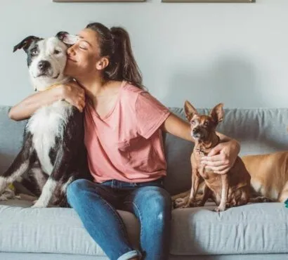 google ads for pet products
