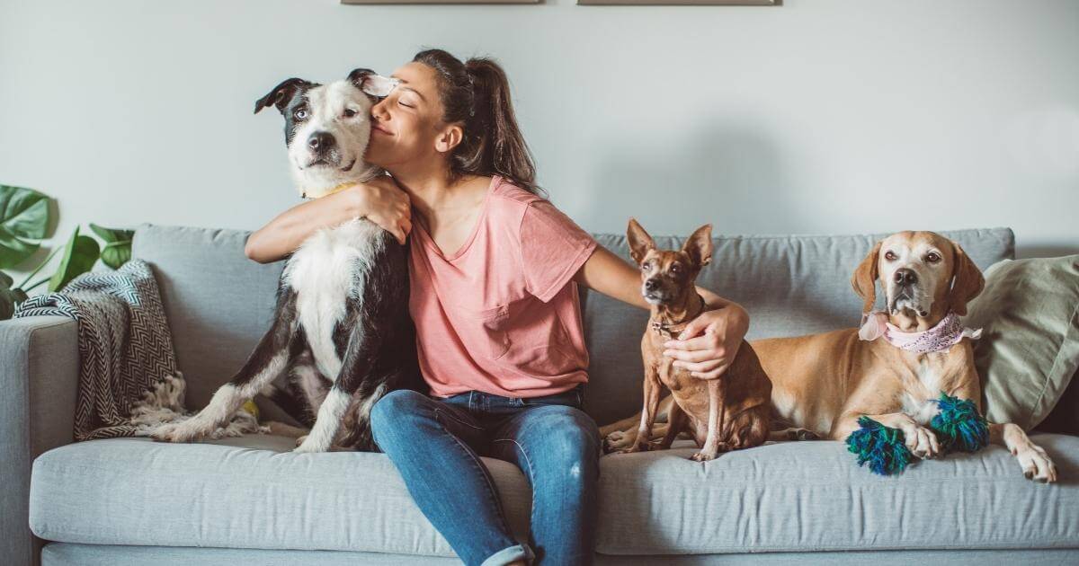 google ads for pet products