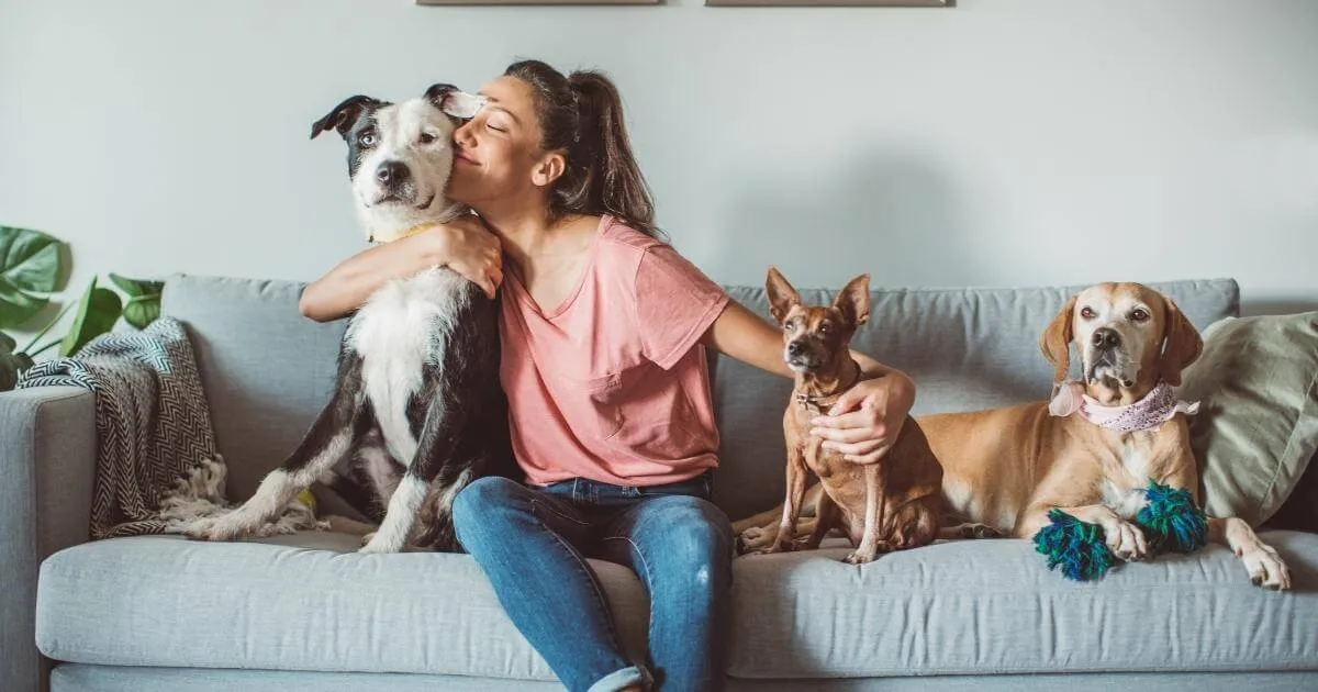 google ads for pet products